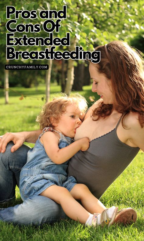 Pros and Cons Of Extended Breastfeeding: A Personal Journey  - Crunchy Family Breastfeeding Photoshoot Ideas At Home, Crunchy Lifestyle, Breastfeeding Photoshoot Ideas, Natural Activities, Screen Free Activities For Kids, Extended Breastfeeding, Breastfeeding Benefits, Positive Birth, Free Activities For Kids