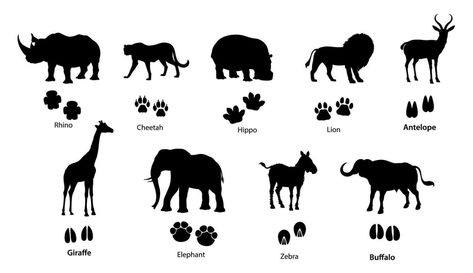 African animal silhouettes with footprints Jungle Animal Footprints, Zebra Footprint, Animal Footprint Art, African Animal Silhouette, Footprint Animals, South Africa Animals, Footprint Poster, South African Animals, Playdate Ideas