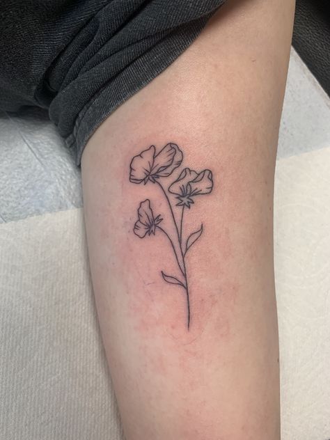 Sweet Pea Line Art, Sweet Pea Line Tattoo, Sweet Pea Line Drawing, Sweat Pea And Daisy Flower Tattoo, Small Sweet Pea Tattoo, Sweet Pea Tattoo Simple, April Sweet Pea Tattoo, Flowers On Wrist Tattoo, April Birth Flower Tattoo Sweet Peas