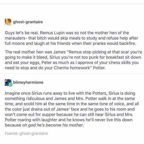 Marauders Headcanons, Harry Otter, Yer A Wizard Harry, Until The Very End, Harry Potter Headcannons, Harry Potter Things, Harry Potter Jokes, Harry Potter Marauders, Harry Potter Obsession