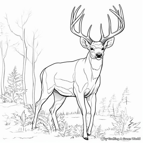 Bucks Coloring Pages - Free & Printable! Hunting Coloring Pages Free Printable, Elk Coloring Page, Deer Outline Drawing, Deer Coloring Pages Free Printable, Hunting Coloring Pages, Drawn Tattoos, Deer Outline, Hunting Drawings, Bas Relief Art