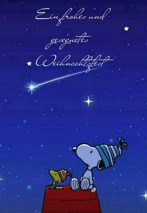 Snoopy Advent, Home Inspiration, Snoopy And Woodstock, Peanuts Snoopy, Winter Time, Home Decor Ideas, Christmas And New Year, Cute Wallpapers, Advent