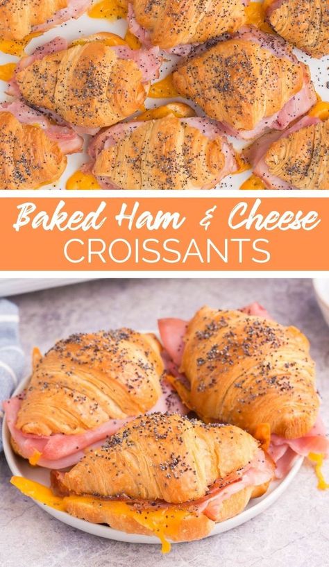 Baked Ham and Cheese Croissants are the best way to start your morning. They are crispy on the outside and soft on the inside! Ham And Cheese Croissant Baked, Cresent Roll Ham And Cheese Sliders, Ham And Cheese Crossiant Bake, Ham And Cheese Crossiant Sandwiches, Crescent Ham And Cheese Sandwiches, Baked Crescent Sandwiches, Ham And Cheese Mini Croissant, Make Ahead Ham And Cheese Croissants, Croissant Sandwiches Ideas