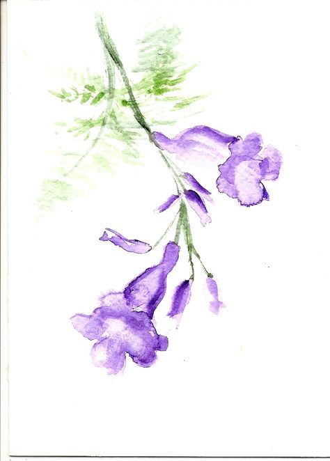 Jacaranda Flower Illustration, Jacaranda Flower Tattoo, Jacaranda Tree Tattoo, Jacaranda Painting, Jacaranda Tattoo, Jacaranda Flower, Painting Moodboard, Australian Tattoo, Jacaranda Tree