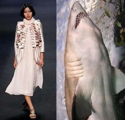 shark inspire fashion Shark Fashion, Sea Slug, Slug, Inspired Fashion, Sea Life, The Amazing, Batik, Fashion Dresses, Design Inspiration