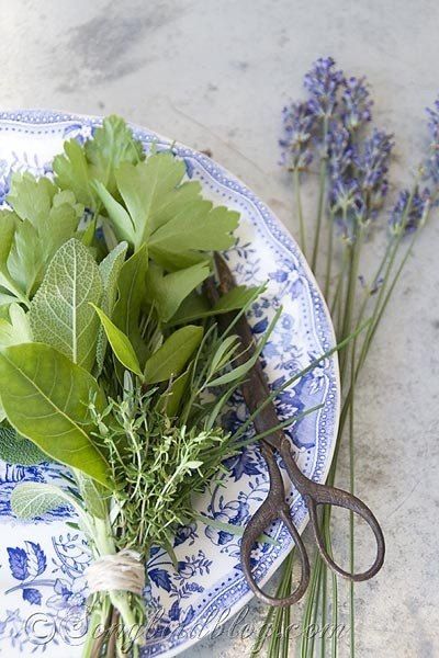 Herb Bouquet, Make A Bouquet, Herb Garden Design, Making A Bouquet, Spices And Herbs, Cooking Skills, Herbs And Spices, Edible Flowers, Herb Garden