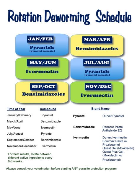 worming schedule Horse Dewormer Schedule, Worming Schedule For Horses, Horse Wormer Schedule, Horse Deworming Schedule, Horse Worming Schedule, Horse Nutrition, Horse Ownership, Equine Care, Horse Information