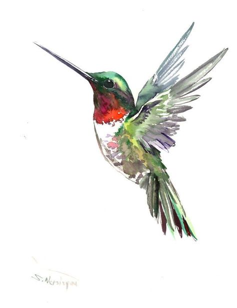 Hummingbird Tatoos, Butterflies Drawings, Hummingbird Paintings, Hummingbird Images, Underwater Paintings, Hummingbird Drawing, Watercolor Hummingbird, Hummingbird Pictures, Hummingbird Painting