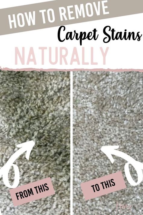 Natural Carpet Cleaner, Stains Out Of Carpet, Remove Carpet Stains, How To Remove Carpet, Diy Carpet Stain Remover, Carpet Stain Remover, Remove Carpet, Homemade Cleaners Recipes, Carpet Stain