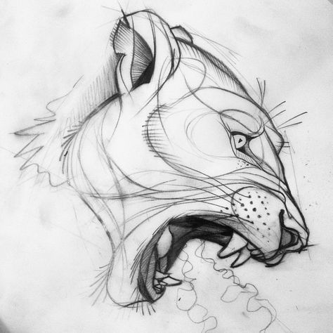 #puma #sketch #tattoo #dövme #istanbul #berlin #cat #wild #graphic #illustration Puma Sketch, Tier Tattoo, Lion Drawing, Kitty Pryde, Lion Tattoo Design, Tattoo Zeichnungen, Berlin Berlin, Sketch Tattoo, Hagia Sophia