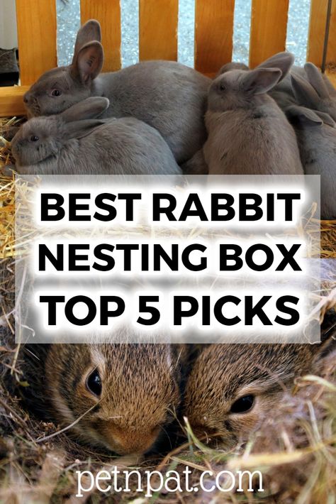 Best Rabbit Nesting Box Guide | Top 5 Picks #pets #animals #rabbits #bunny Rabbit Nesting Boxes Diy, Rabbit Birthing Boxes, Diy Nesting Box For Rabbits, Rabbit Nest Box Diy, Diy Rabbit Nest Box Ideas, Foraging Box For Rabbits, Rabbit Nesting Boxes, Bunny Nesting Box Diy, Nesting Boxes For Rabbits