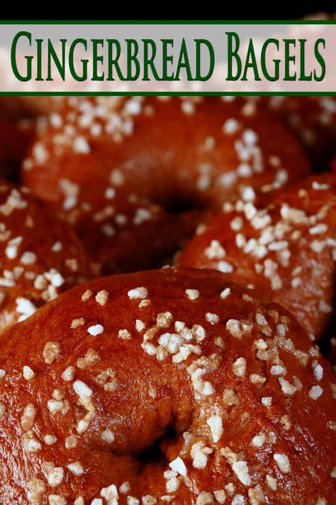 Types Of Bagels, Winter Holiday Recipes, Bagels Recipe, Sourdough Bagels, Homemade Gingerbread, Bagel Bites, Christmas Bread, Christmas Morning Breakfast, Homemade Bagels