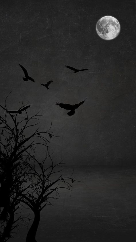 DARKSIDE | DARK BACKGROUND | HORROR VIEW|
#ART#DARK#BACKGROUND#DARKSIDE Darkside Wallpaper, Life Is Difficult, Dark Meaning, Dark Images, Beautiful Scenes, Dark Places, I Work Hard, Dark Photography, True Facts