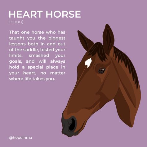 Equestrian Memes, Horse Quotes Funny, Heart Horse, Funny Horse Pictures, Inspirational Horse Quotes, Horse Lessons, Horse Riding Quotes, Equestrian Quotes, Riding Quotes