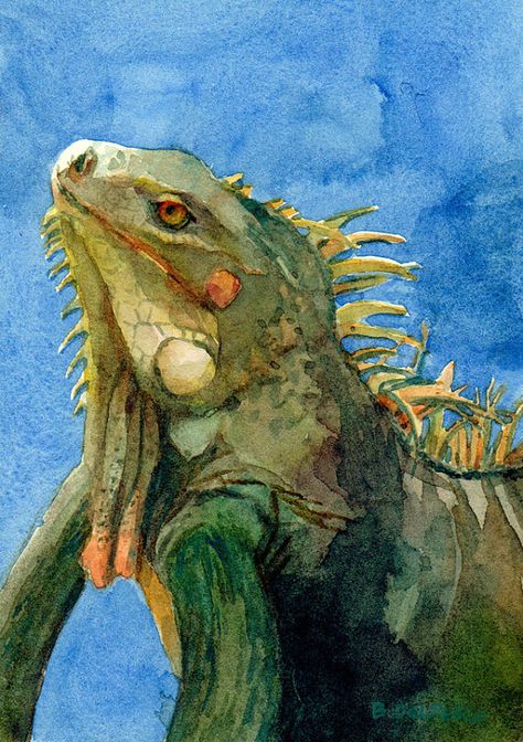 Iguana+mini+painting+Lizard+Reptile+ACEO+ATC+Third+by+bdelpesco Bald Eagle Art, Artist Trading Card, Eyes Artwork, Eagle Art, Baseball Trading Cards, Desert Art, Card Print, Plant Painting, Colorful Animals