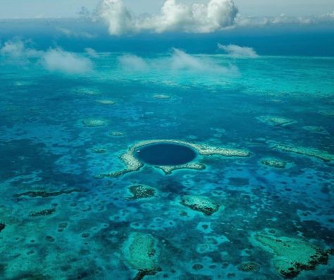 An international icon and Belize’s most famous dive site, the Blue Hole is undisputedly a must-see for divers planning a trip to Belize. SunBreeze Hotel, in Ambergris Caye is the perfect base for your diving adventures in Belize. Great Blue Hole Belize, The Great Blue Hole, Blue Hole Belize, Trip To Belize, Great Blue Hole, Belize Barrier Reef, Ambergris Caye, Belize City, Blue Hole