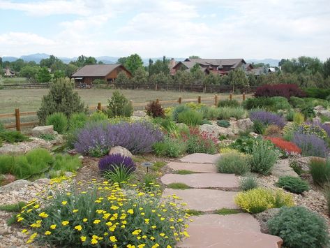 Xeriscape Front Yard, Xeriscape Plants, Xeriscape Landscaping, Drought Tolerant Garden, Small Front Yard Landscaping, Drought Tolerant Landscape, Small Front Yard, Dry Garden, Stone Path