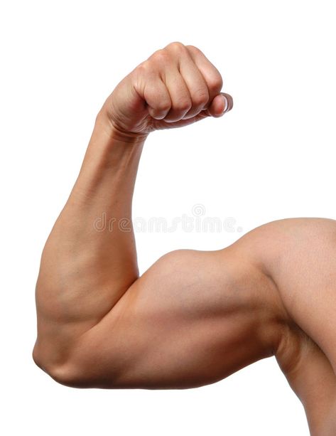 Close up of man's arm. Showing biceps , #Affiliate, #man, #Close, #arm, #biceps, #Showing #ad Men Arm Reference, Bicep Reference, Arm References Photos, Arms Out Pose, Muscular Arm Reference, Buff Arms, Arm References, Muscular Arm, Arms Reference