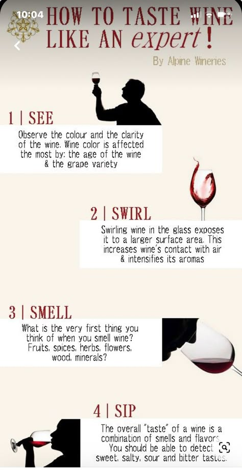 How Wine Is Made, How To Drink Wine Properly, How To Taste Wine, Wine Information, Wine Etiquette, Wine Basics, Wine Chart, Wine Cheese Pairing, Wine Industry