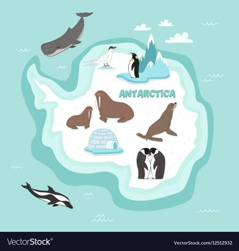 Continents Activities, Animals Vector Illustration, Continent Map, Antarctic Animals, Geography For Kids, Emperor Penguin, Japon Illustration, English Lessons For Kids, Montessori Toddler