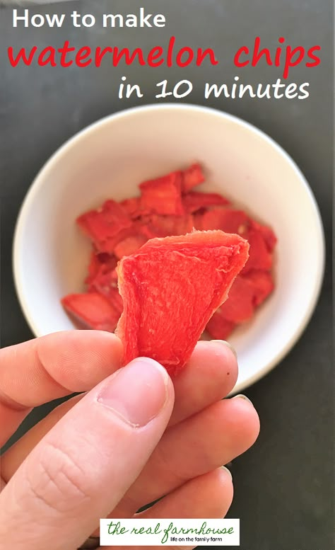 Dehydrated Watermelon, Dehydrator Recipes Fruit, Dehydrated Recipes, Dehydrating Food Storage, Food Dehydration, Fruit Chip, Dehydrated Vegetables, Dehydrating Food, Dehydrated Foods