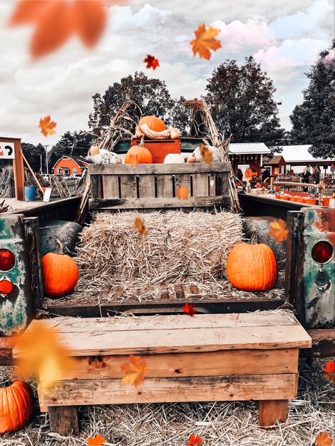 #fall #hayride #cozyfall #halloween Hayride Aesthetic, Fall Festival Food, Fall Hayride, Festival Pics, Fall Romance, Maple Creek, Hay Ride, Harvest Fest, Fall Fest