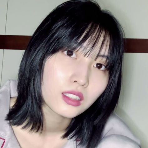 #もも: hirai momo twice lq icons Momo Twice, Hirai Momo, Lq Icons, Short Hair, Hair