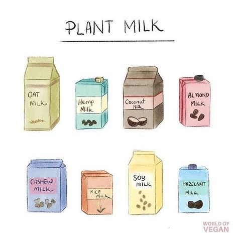 What’s your favorite type of milk? 🥛🌱 With so many delicious plant-based options today there’s absolutely no reason to drink cow’s milk. 🐄 Leave mama cow’s milk for her baby as nature intended. - @MichelleCehn 👩🏼‍🌾 Best Milk Alternative, Vegan Drinks Recipes, Milk Brands, Hemp Milk, Hazelnut Milk, Red Wine Vinaigrette, How To Become Vegan, Plant Milk, Baked Apple Pie