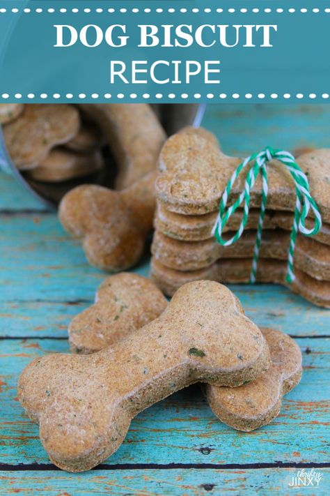 Dog Treat Recipes Without Peanut Butter, Pumpkin Dog Treats Without Peanut Butter, No Peanut Butter Dog Treats, Dog Treats Homemade No Peanut Butter, Home Made Dog Biscuits Recipes, Homemade Dog Biscuits Recipe, Homemade Dog Treats Without Peanut Butter, Homemade Dog Biscuits Recipe Easy, Dog Biscuit Recipes Easy