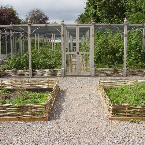 Fruit Cage, Fenced Vegetable Garden, Potager Garden, Wall Diy, Cedar Shingles, Garden Area, Veg Garden, Vegetable Garden Design, Fruit Garden