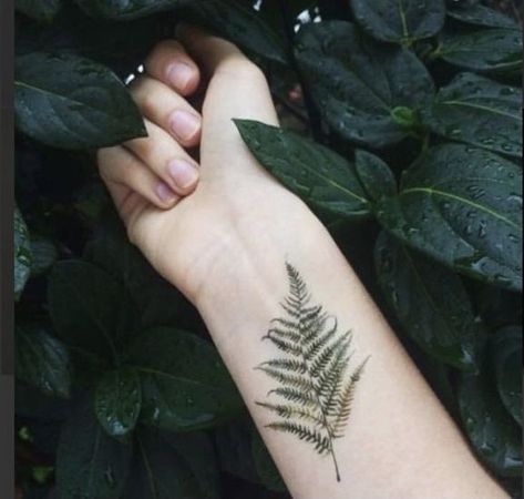 Tree Tattoo Meaning, Watercolor Realistic, Negative Space Tattoo, Fern Tattoo, Tattoo Watercolor, Coffee Tattoos, Nature Tattoo, Space Tattoo, Realistic Tattoo