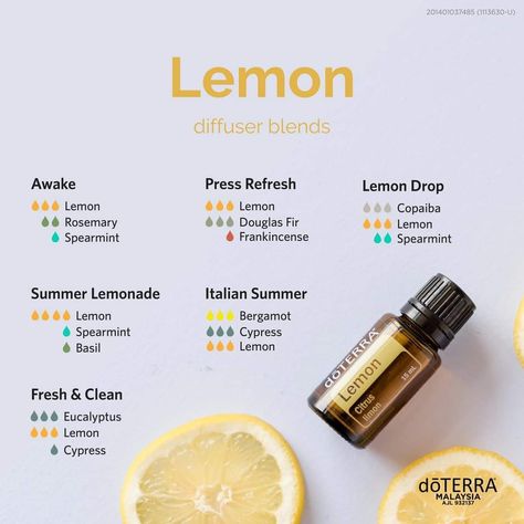 #essentialoils #diffuserblends #Lemon Lemon Diffuser Blends, Diffuser Scents, Essential Oil Perfume Blends, Candle Scents Recipes, Doterra Lemon, Essential Oil Combinations, Doterra Business, Doterra Essential Oils Recipes, Essential Oil Diffuser Blends Recipes