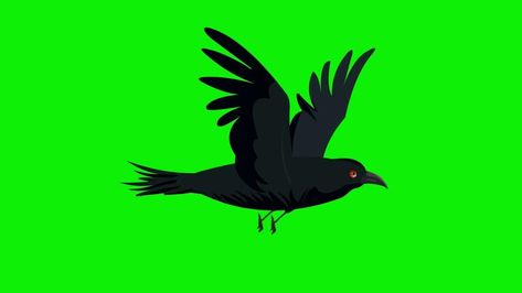 Crow Animation, Cartoon Crow, Crow Flying, Frame Animation, 2d Cartoon, Frame By Frame, Bird Flying, Crow Bird, Frame By Frame Animation