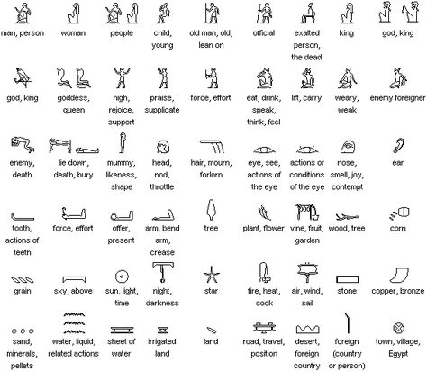 Ancient Egyptian scripts (hieroglyphs, hieratic and demotic) Egyptian Alphabet, Egypt Hieroglyphics, Kemetic Spirituality, Ancient Egyptian Hieroglyphics, Egyptian Hieroglyphs, Ancient Egyptian Symbols, Ancient Egypt History, Walking Man, Egyptian Tattoo