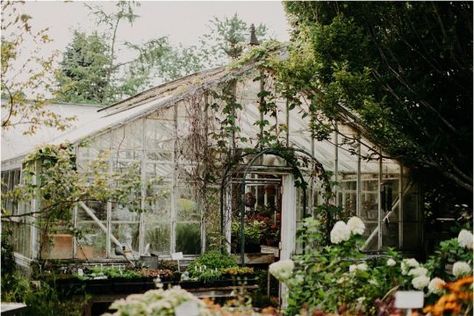 Cottage Core Wedding, Eastern Wedding, Romantic Wedding Venue, Greenhouse Wedding, Wisconsin Wedding, Space Wedding, Marriage Ceremony, Outdoor Wedding Venues, Large Weddings