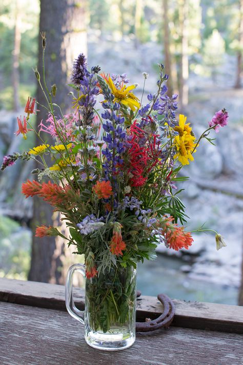 Texas Wildflowers Bouquet, Mountain Wildflower Bouquet, Wild Flower Rustic Wedding, Indian Paintbrush Wedding Bouquet, Wild Flowers Arrangements, Winter Wildflower Bouquet, California Wildflower Bouquet, Colorado Wildflower Bouquet, Indian Paintbrush Bouquet