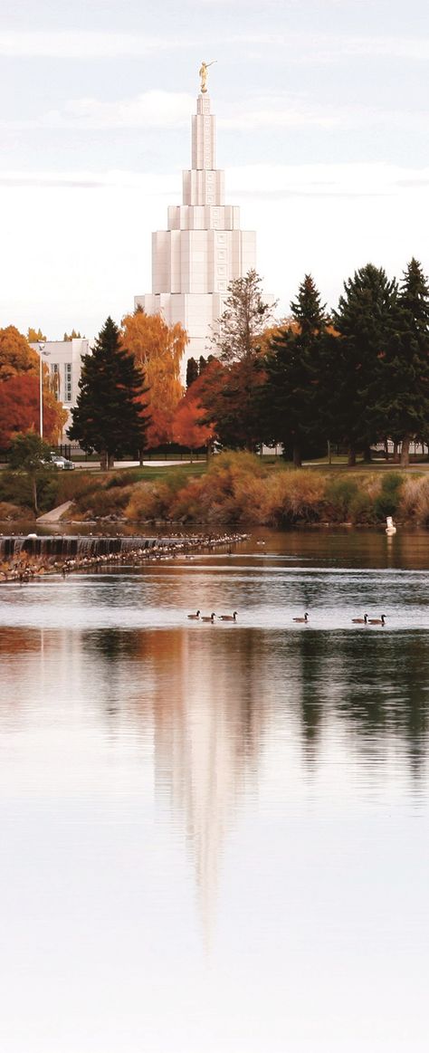 Lds Temples In The Fall, Boise Idaho Lds Temple, Lds Temple Wallpaper Fall, Pocatello Idaho Temple, Temples Lds, Idaho Falls Temple, Lds Temple Pictures, Later Day Saints, Temple Lds