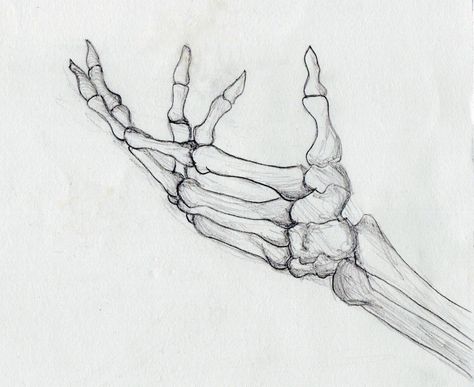 Skeleton Hands Drawing, Skeleton Arm, Arm Drawing, Skeleton Drawings, Arte Van Gogh, Skeleton Art, Skull Hand, Skull Drawing, Skeleton Hand