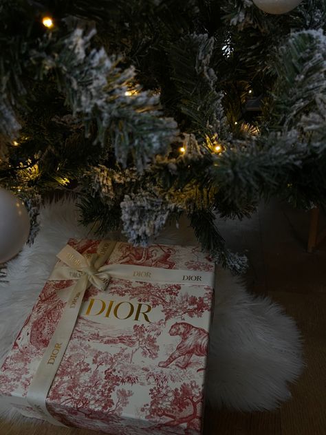 Red Dior box under the Christmas tree with a bow Dior Christmas Packaging, Christmas Gifts Under Tree, Gifts Under Tree, Old Money Christmas, Presents Under The Christmas Tree, Dior Christmas, Under Christmas Tree, Winter Aesthetics, Villain Era