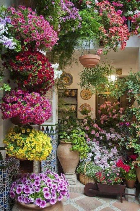 Flowers In Pots, Patio Flowers, Small Patio Garden, Flower Garden Design, Beautiful Patios, Garden Containers, Backyard Garden Design, Garden Layout, Small Gardens