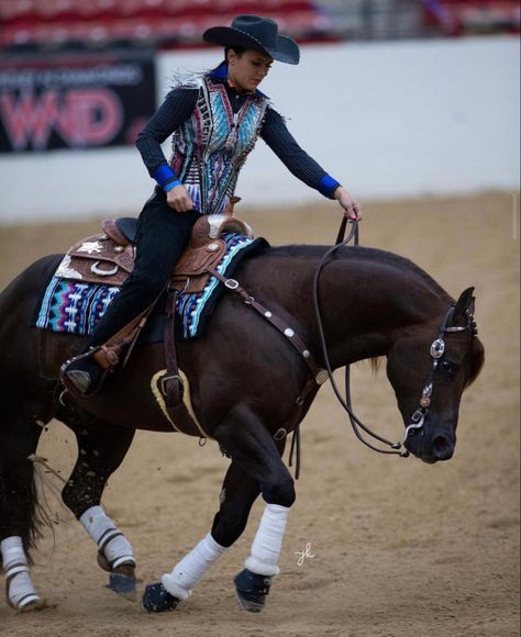 Western Pleasure Riding, Western Dressage, In Hand Horse Show, Reining Horses Photography, Reining Horse Aesthetic, Western Horse Tack Trail Riding, Western Horse Riding, Working Cow Horse, Western Horsemanship