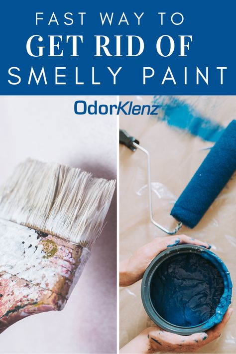 Paint smell can linger for a long time in a house and can be very dangerous to one's health. In this article, learn how to get rid of smelly paint odor from your house, the different types of paint used in a home, , and the best ways to remediate the odor of paint from within this indoor air space. How To Get Rid Of Paint Smell In House, Deodorize House, Paint Additives, Types Of Paint, Paint Smell, Different Types Of Painting, Paint Repair, Air Space, Paint Remover