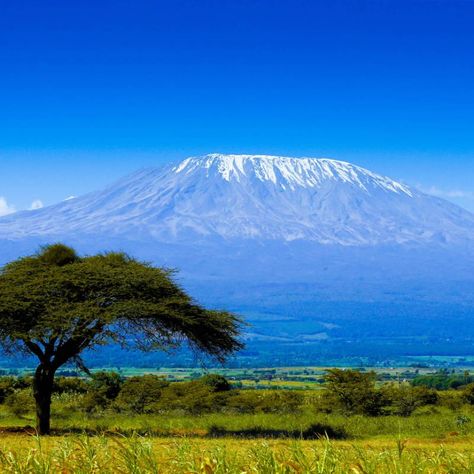 Mt Kilimanjaro, Tanzania Safari, Arusha, Domestic Flights, I Said Yes, Adventure Tours, Day Off, I Said, Tanzania