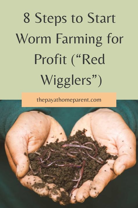 Worm Farm Diy, Meal Worms Raising, Farming For Profit, Worm Beds, Red Wiggler Worms, Worm Farming, Red Wigglers, Meal Worms, Homemade Fishing Lures