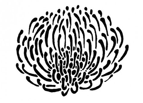 protea Protea Stencil, Pin Cushion Protea, Flower Wall Stencil, Protea Art, Large Wall Stencil, Wall Stencil Patterns, Australian Natives, Protea Flower, Australian Native Flowers