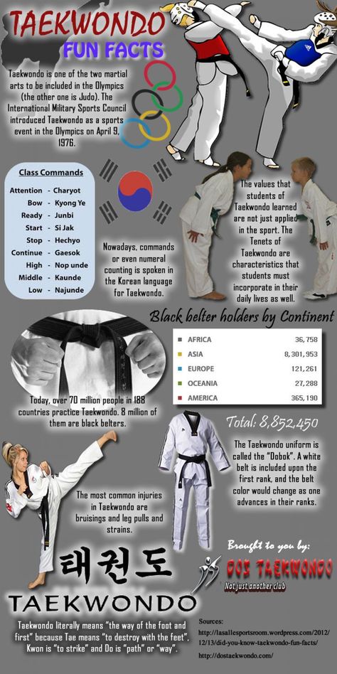 Taekwondo Basics, Taekwondo Practice, Taekwondo Moves, Taekwondo Forms, Taekwondo Techniques, Taekwondo Quotes, Taekwondo Kids, Tkd Taekwondo, Taekwondo Belts