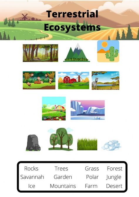 Terrestrial Ecosystem Vocabulary worksheet Bibliography Template, Creating An Ecosystem, Ecosystem Infographic, Fresh Water Ecosystem, Ecosystem Restoration Poster, Ecosystem Vocabulary, Backyard Ecosystem, Terrestrial Ecosystems, Classroom Icebreakers