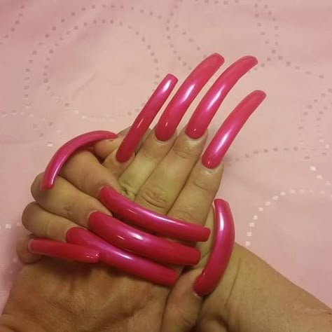 Curved Square Nails, Extremely Long Nails, Very Long Nails, Beautiful Long Nails, Fall Nails Design, Long Red Nails, Long Gel Nails, Long Fingernails, Curved Nails