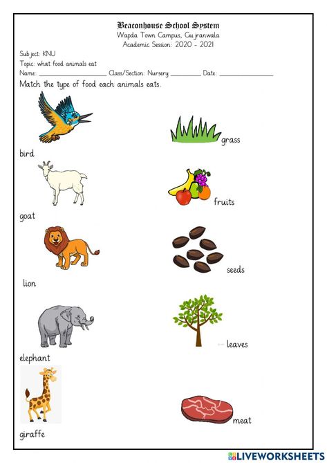 What Animals Eat Worksheet, What Do Animals Eat Worksheets, Animals And Their Food Worksheet, Plant Worksheet, How Plants Grow, Plants Worksheets, Animal Activities For Kids, Summer Camp Activities, Camp Activities