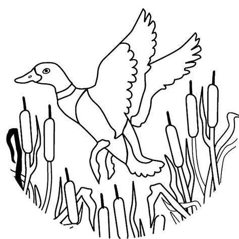 How To Draw Flying Mallard Duck Coloring Pages : Color Luna Duck Hunting Decals, Duck Coloring Pages, Duck Drawing, Flower Tattoo Drawings, Superhero Coloring, Animal Illustration Art, Duck Art, Cabin Art, Mallard Duck